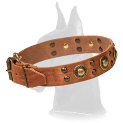 Tan Genuine Leather Collar for Great Dane Walking